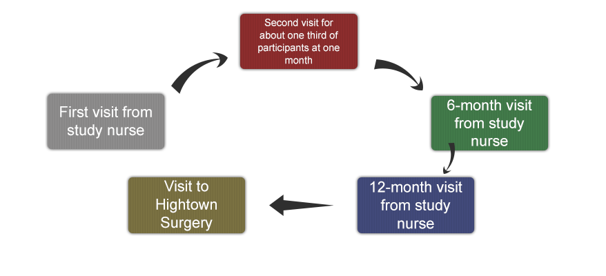 Study Timetable