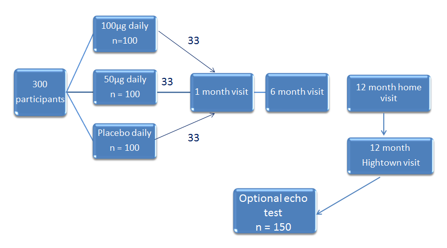 The Best-D Trial Outline